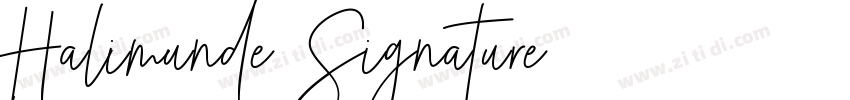 Halimunde Signature字体转换